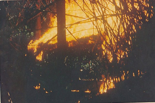 Burning Hooch close up